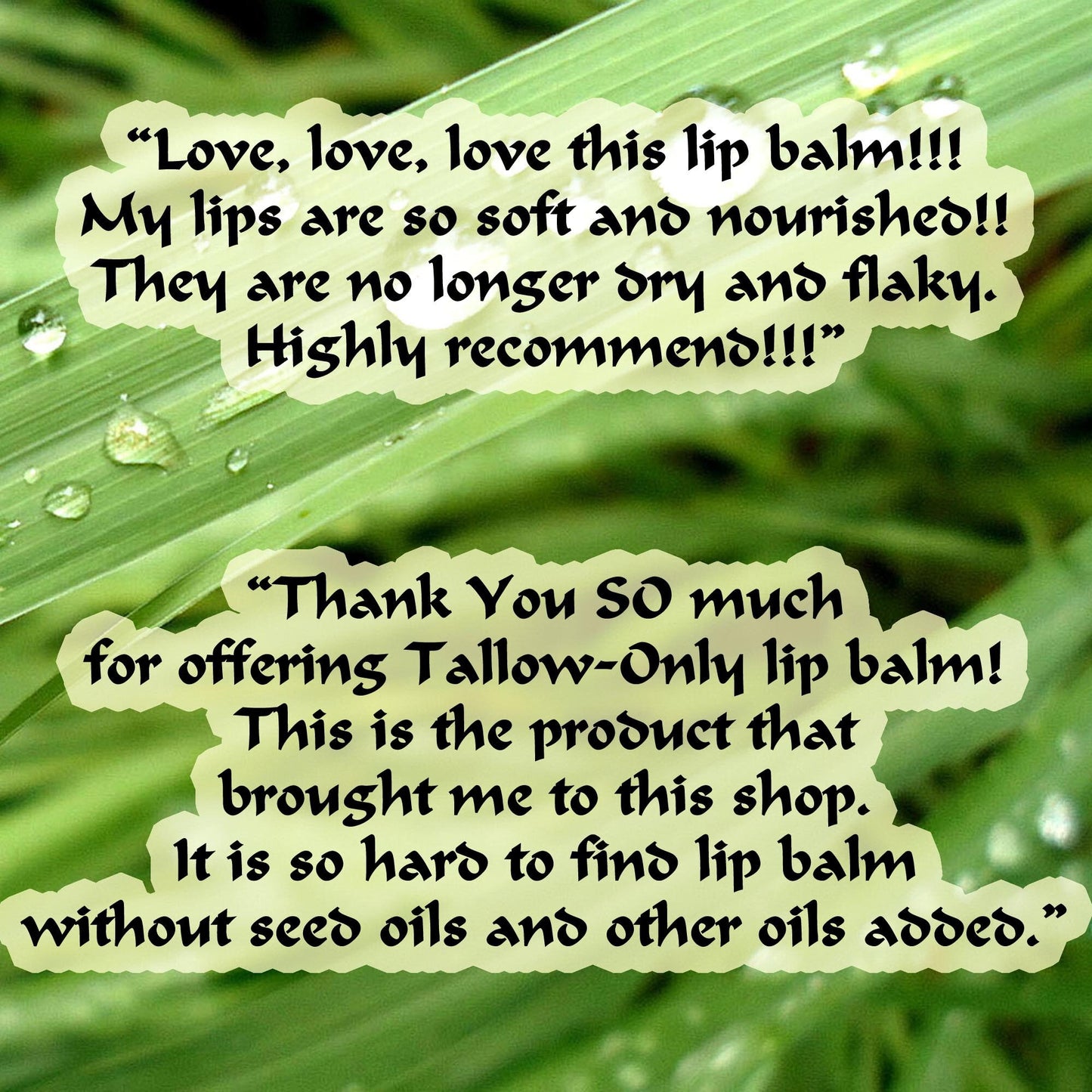 Rosehip Tallow Lip Balm Creamy Long Lasting Chapstick Paleo Unisex Men Women Child Soothe Smooth Heal Chapped Lips Made to Order