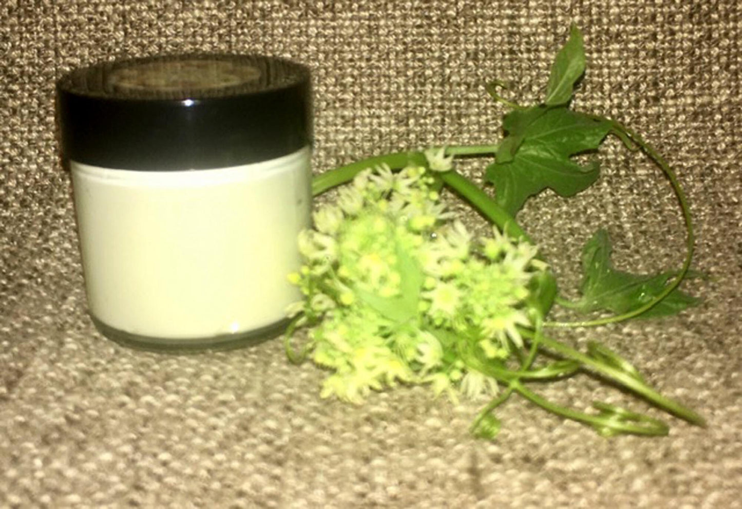 Porcine Tallow Sensitive Skin Renew Cream 1.5 oz Unscented Unisex Men Women Teen Cleopatra Leaf Lard Heal Soothe Renew Made to Order EO Free