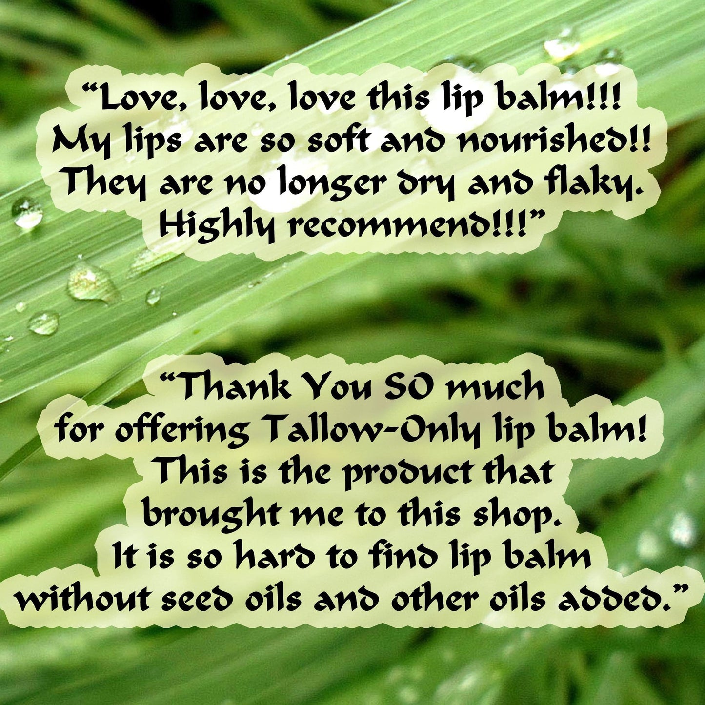 Grass-fed Tallow Only Lip Balm Creamy Long Lasting Paleo Unisex Men Women Teen Child Soothe Smooth Heal Chapped Lips Made to Order