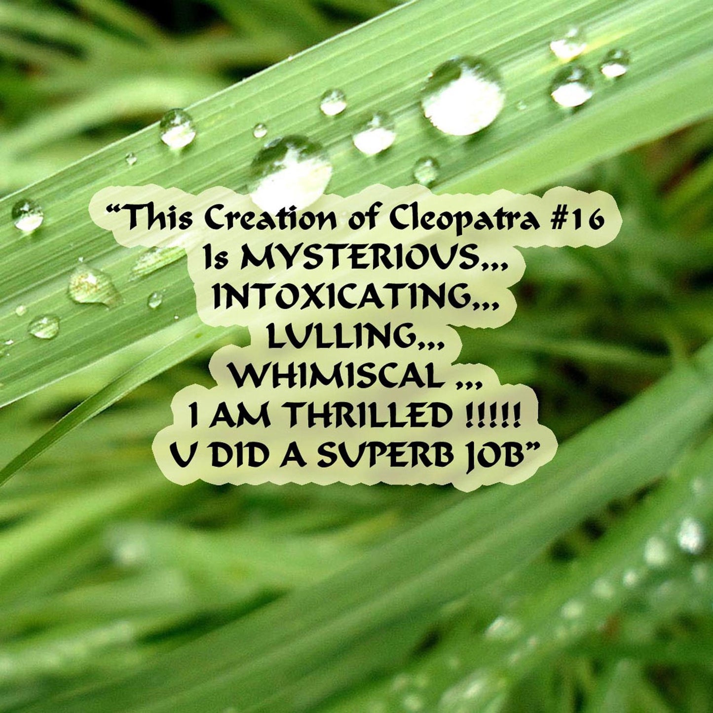Cleopatra's Own Perfume Blend #16 .5ml Glam Roller Bottle Unisex Personal Aphrodisiac Honey Orange Blossom Patchouli Sweet Seductive Woody