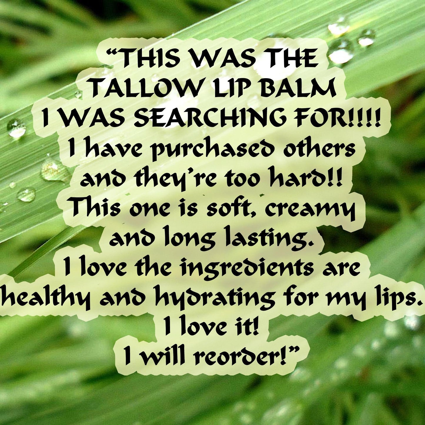 Buffalo Tallow Lip Balm Sunblock SPF 20-25 Creamy Long Lasting Blend Unisex Men Women Teen Child Soothe Smooth Chapped Lips Made to Order