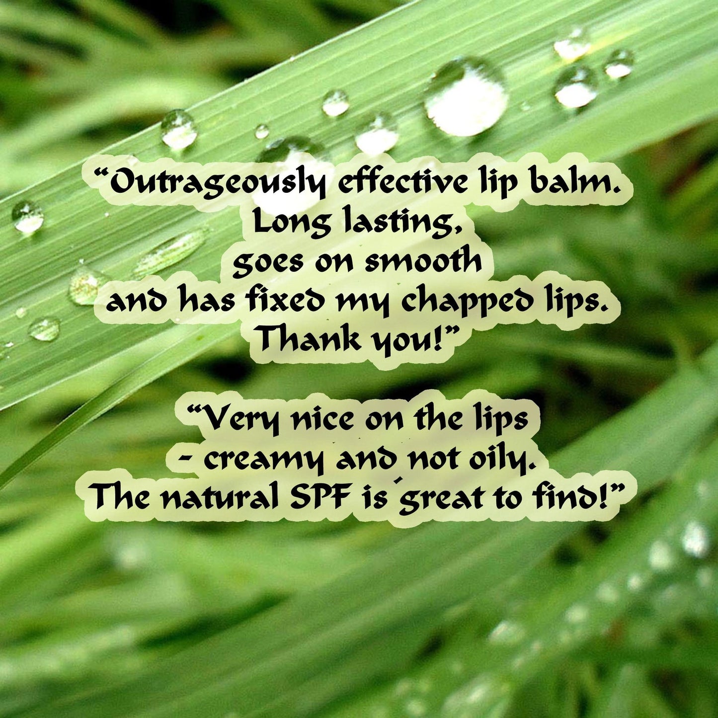 Lea's Blend Long Lasting Lip Balm Sunblock Formula SPF 20-25 Buffalo Tallow Shea Coconut Tamanu Oils Creamy Organic Made to Order