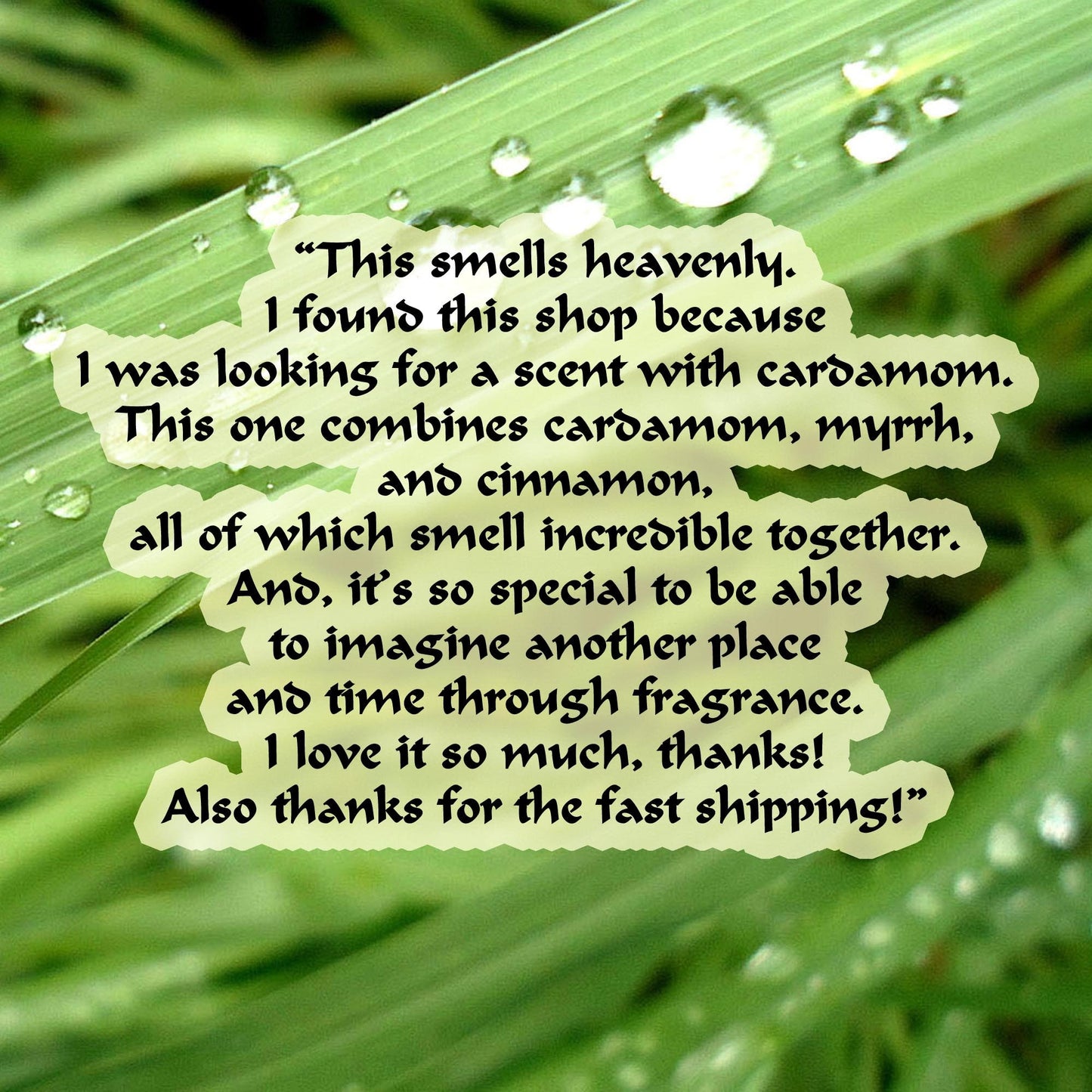 Cleopatra's Own Perfume Blend #6, .5ml Glam Roller Bottle Myrrh Cardamom Cinnamon Mendesian Rich Sweet Spicy Aphrodisiac Made to Order