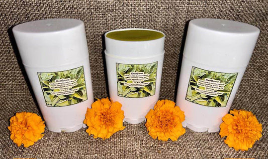 PURE Comfrey Arnica Plantain Calendula Salve Comfort Stick - VEGAN - ORGANIC Boneknit - Boneknitter -Allantoin w Blossom Leaves Stalk Root