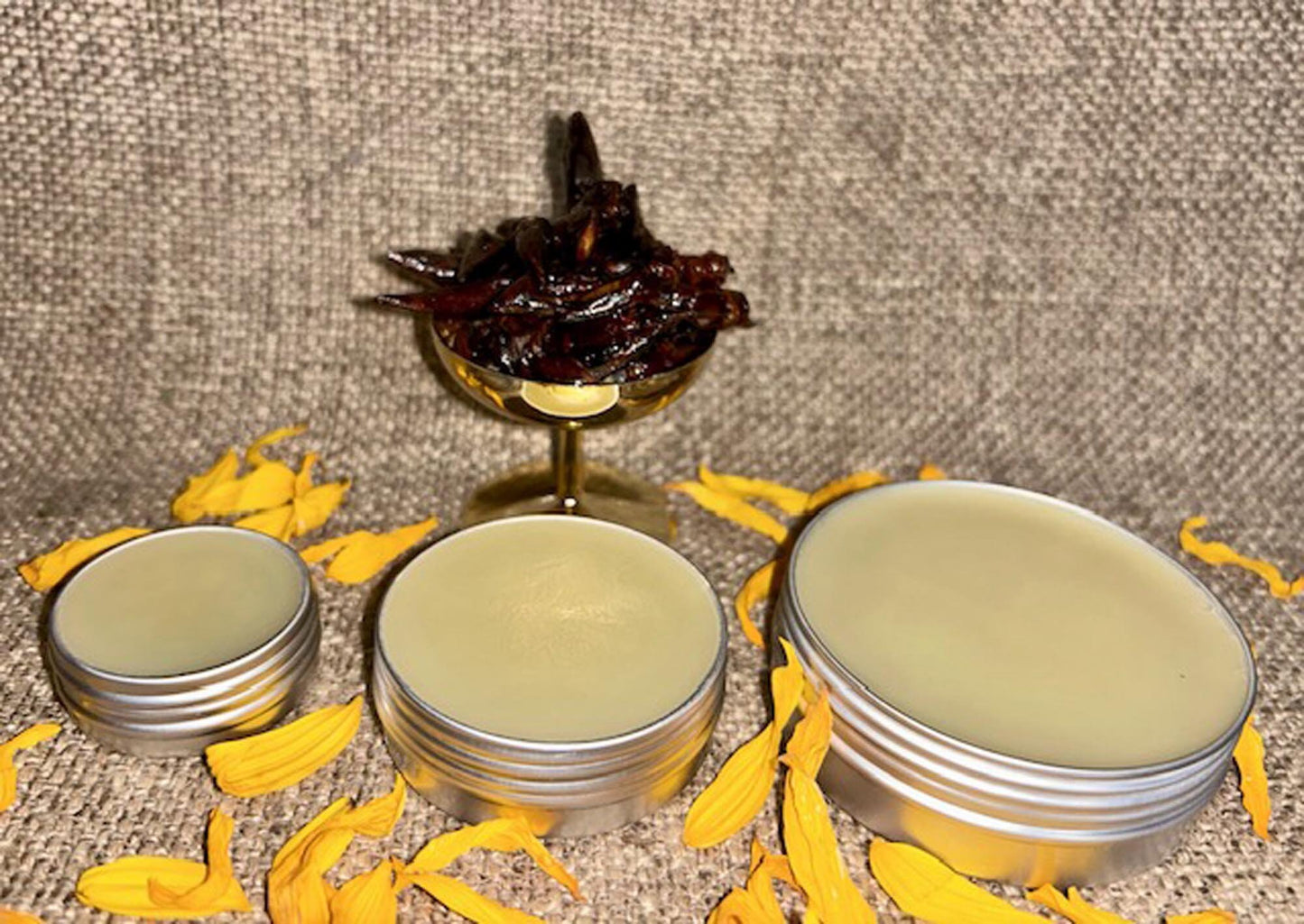 Balm of Gilead Salve Salve - VEGAN - ORGANIC Black Cottonwood, Populus trichocarpa Buds - 3 Sizes -Uber Resinous Buds from PrairieWoodSprite