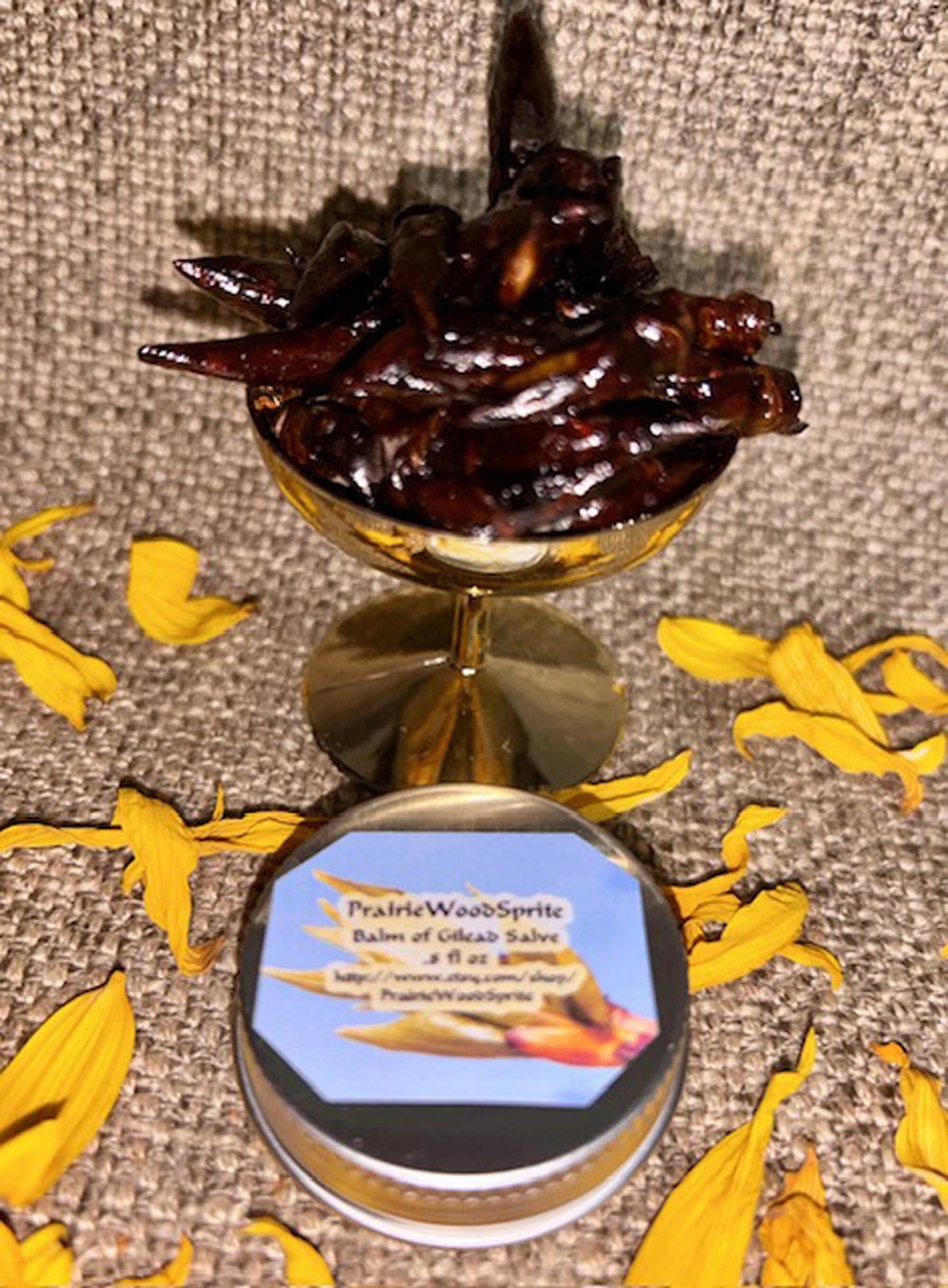 Balm of Gilead Salve Salve - VEGAN - ORGANIC Black Cottonwood, Populus trichocarpa Buds - 3 Sizes -Uber Resinous Buds from PrairieWoodSprite